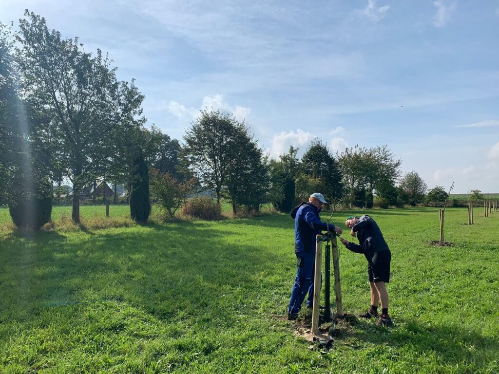 danielschlegel-umweltstiftung-projekte-bunte-streuobstwiese-fuer-alfhausen