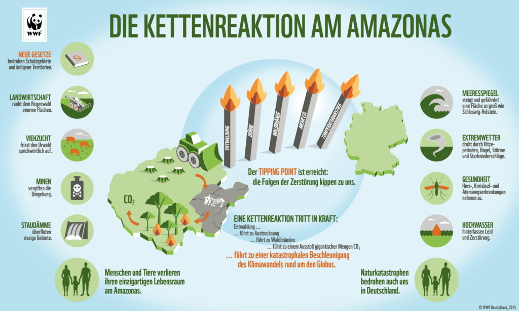 The WWF has produced this useful graphic illustrating the chain reaction in the Amazon. (Copyright WWF Germany, 2015)