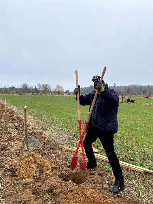 daniel-schlegel-umweltstiftung-blog-news-agroforstpflanzung-auf-dem-hof-good-food-syndicate-2