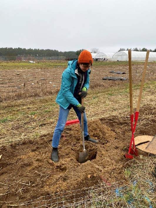 daniel-schlegel-umweltstiftung-blog-news-agroforstpflanzung-auf-dem-hof-good-food-syndicate-3