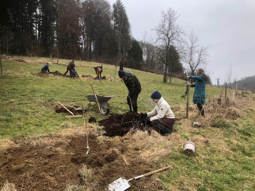 daniel-schlegel-umweltstiftung-projekte-agroforst-projekt-der-gemeinschaft-haslachhof-e-v-1